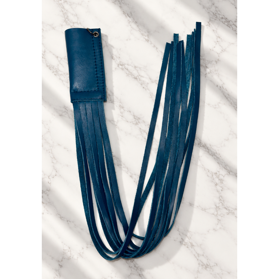 BLUE LIGHTER CASE