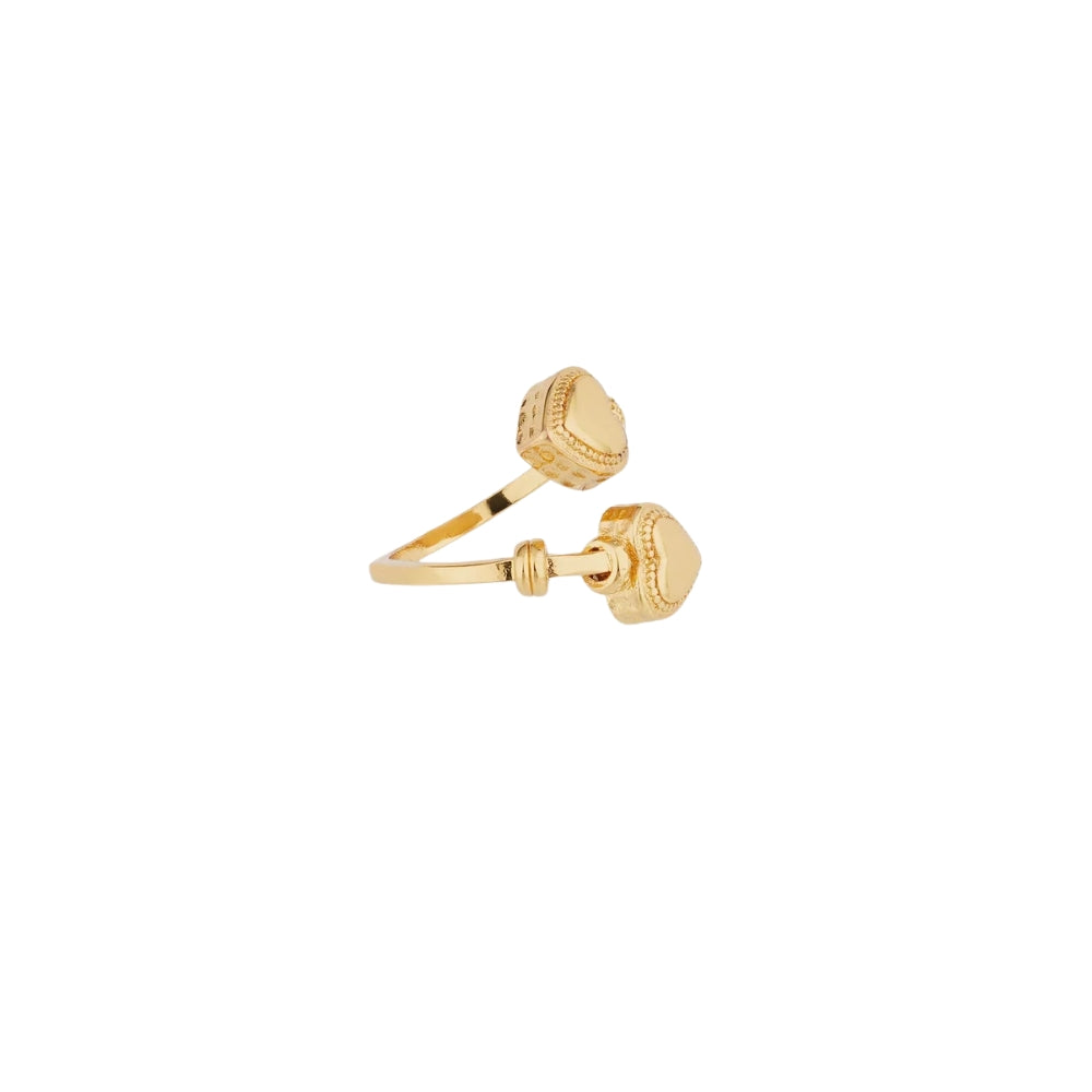 DUALITY AMORE RING