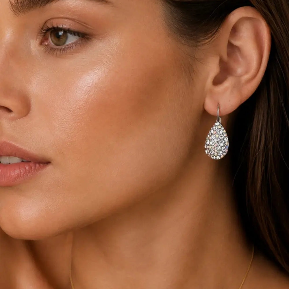 DYRBERG/KERN BETTA SS CRYSTAL AB EARRING