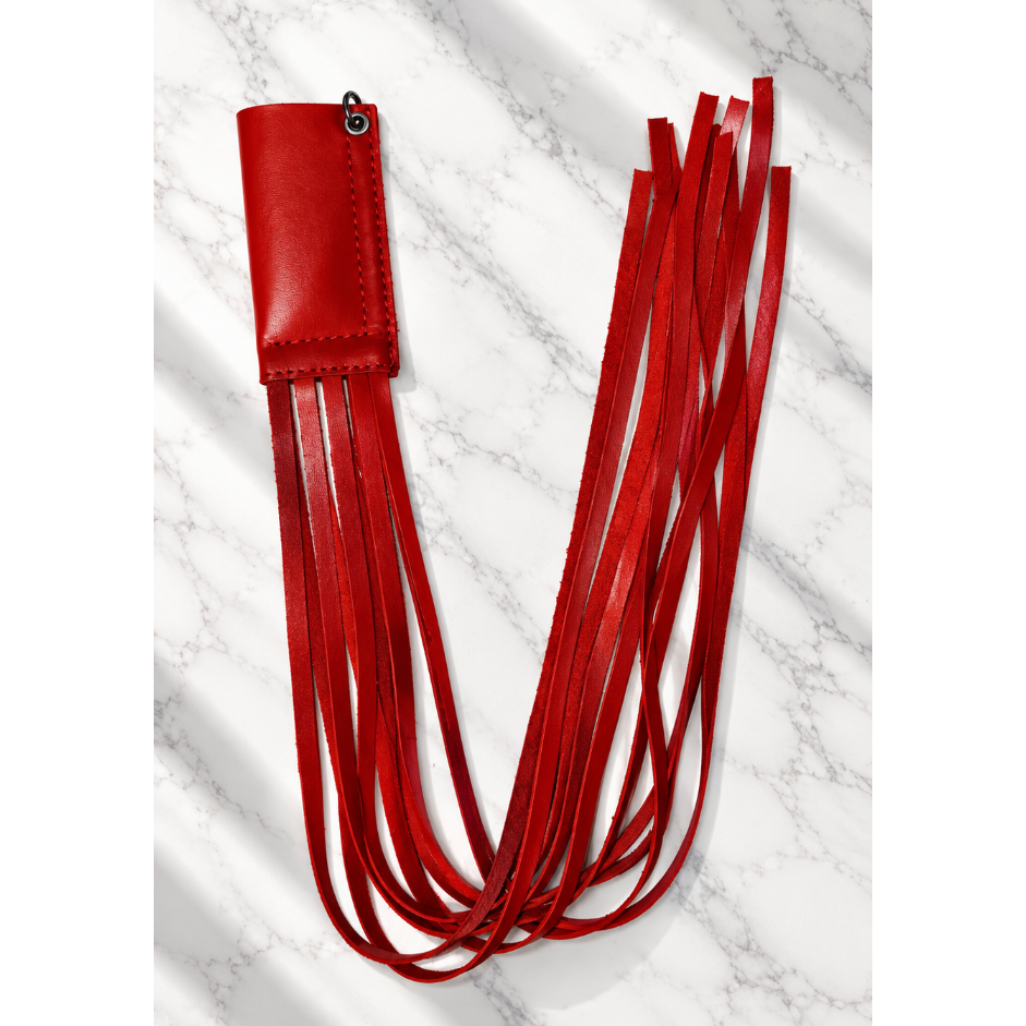 RED LIGHTER CASE