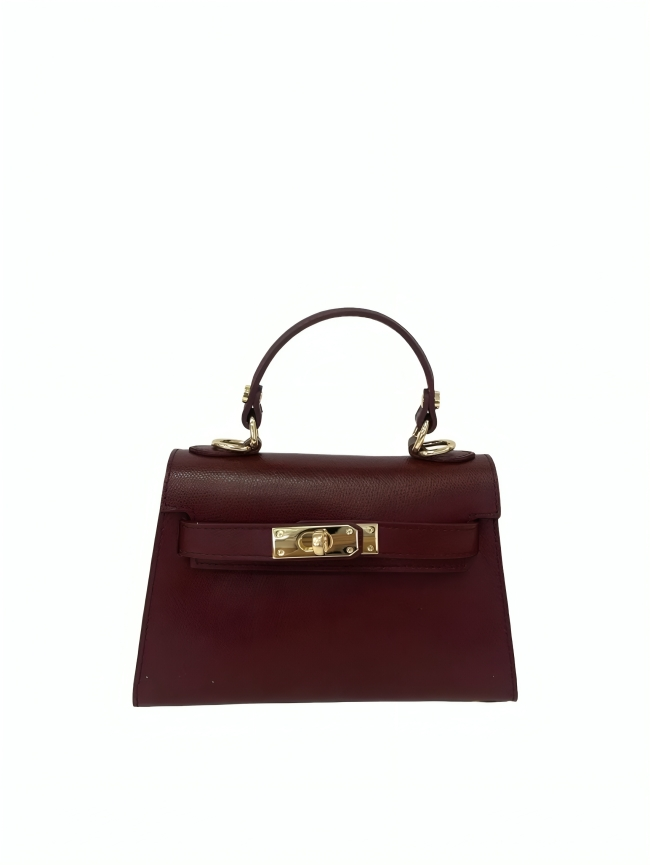 ANDRI MINI BURGUNDY RED BAG